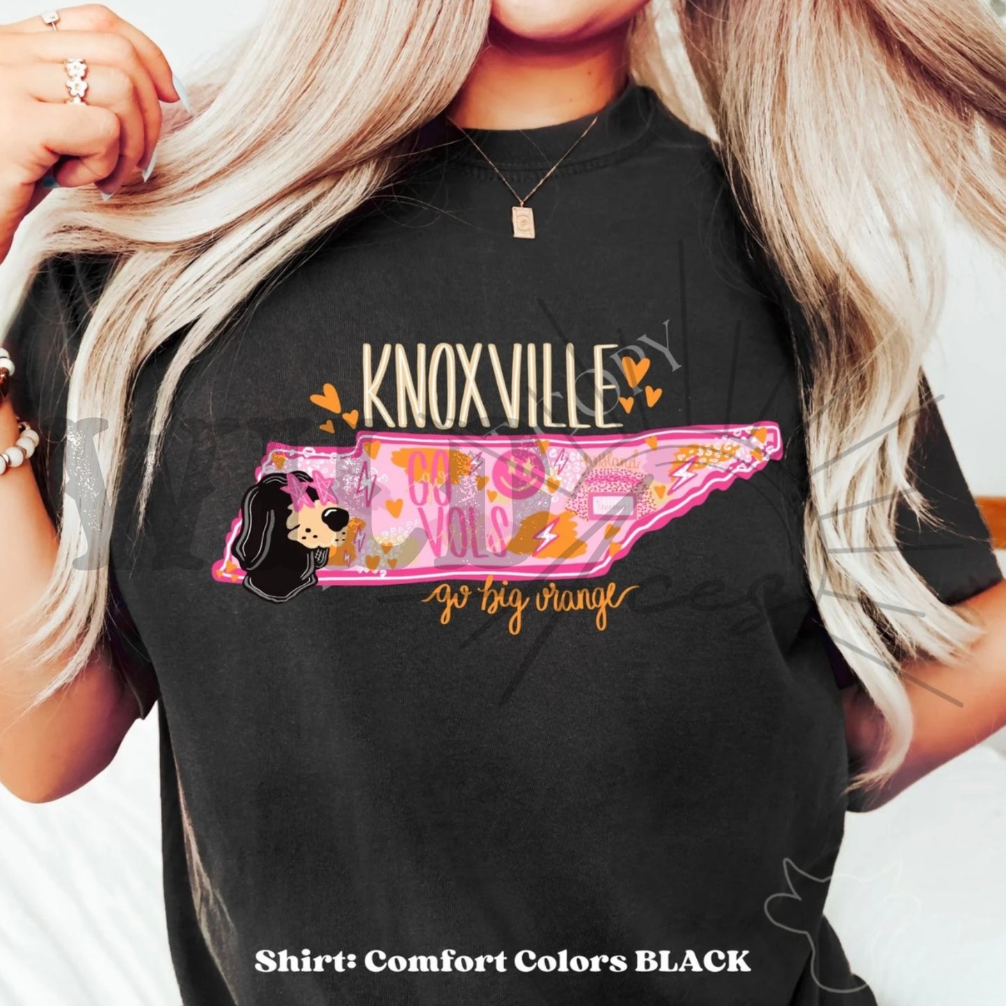 Knoxville Volunteers