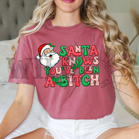 Santa Knows You've Been a Bitch